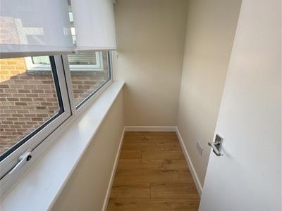 Picture 13